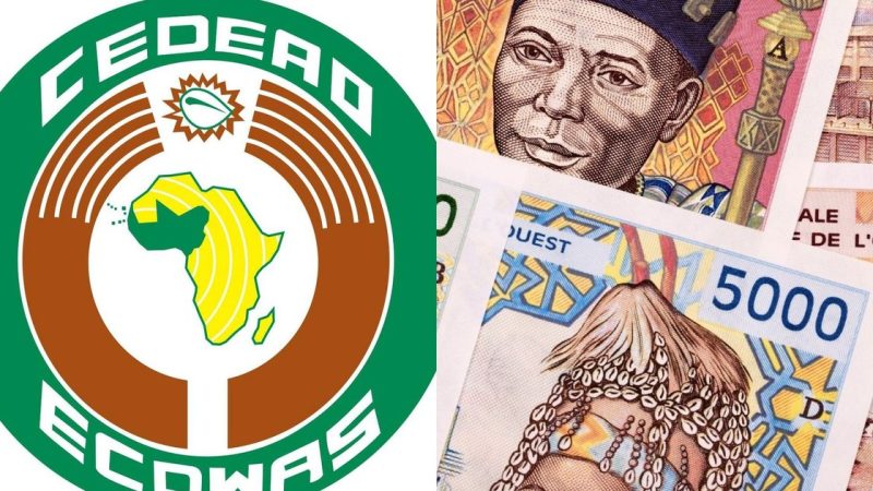 12 West African Nations Are Quietly Merging Into One Travel Zone With ECOVISA
