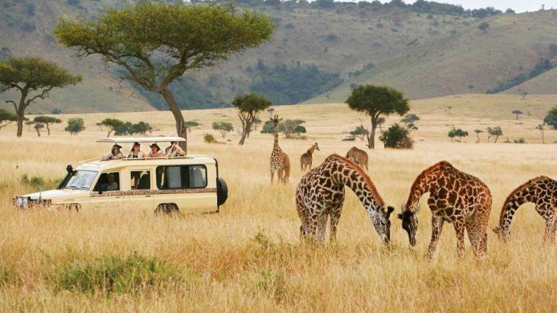 African Safari Tourism Is Shifting in Ways Most Travelers Haven’t Noticed Yet