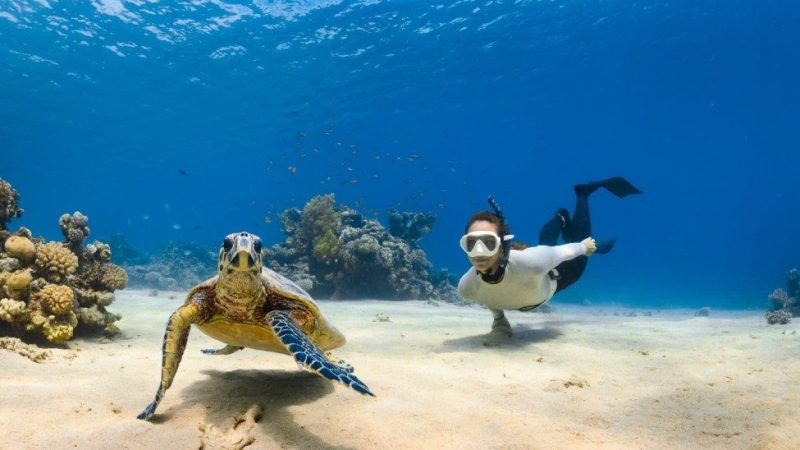 Agoda Names Asia’s Top Diving Spots and Malaysia Made the List