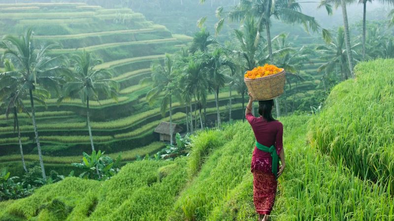 Bali Just Dethroned Every Iconic Destination to Lead the World in 2026