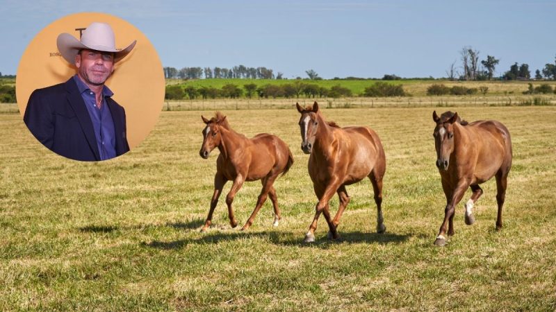Bosque Ranch Is Changing How Visitors Experience Texas Tourism