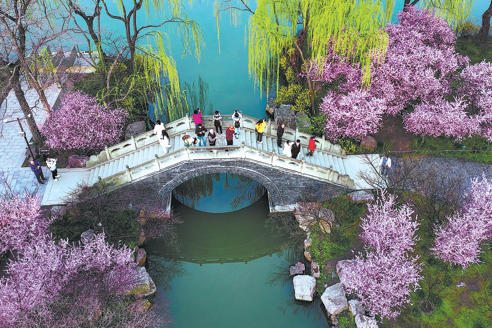 China’s Flower Tourism Season Is Quietly Reshaping Its Entire Spring Economy