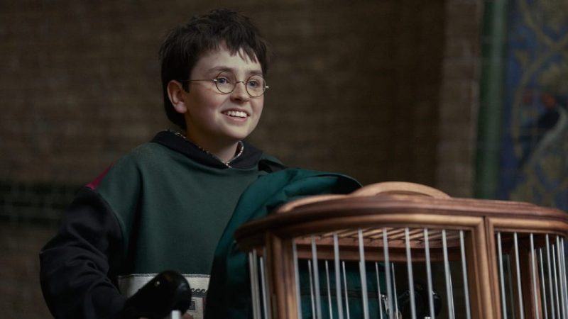 HBO’s Harry Potter Reboot Is Pulling From The Movies To Rewrite Canon