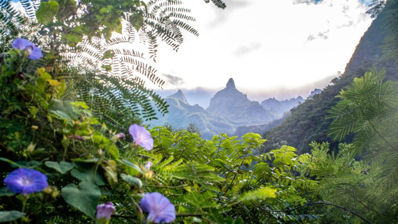 La Réunion Is Quietly Winning Over South African Travellers At WTM Africa