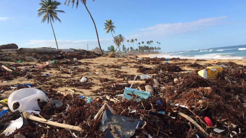 Pacific’s ‘This for That’ Campaign Is Pushing Travel Toward Plastic-Free by 2035