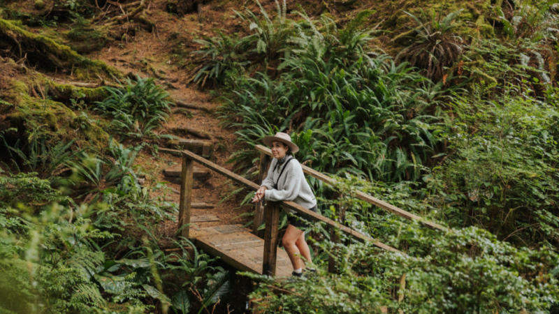 SCP Hotels Is Quietly Reshaping Travel Across Four Iconic Destinations