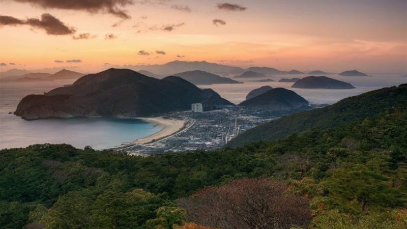 Seoul Now Has a Jeju Tea House Offering Island Calm in the City