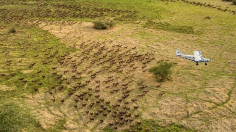 South Sudan’s Maruwa Hills Camp Is Quietly Rewriting Its Tourism Story