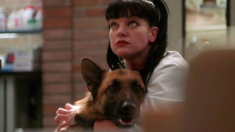 The NCIS Episodes Fans Keep Rewatching According to IMDb Rankings