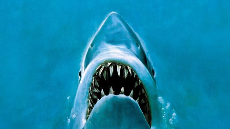 The Spielberg Movies Based on Books That Fans Keep Ranking First