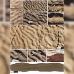 180-Million-Year-Old Rock Wrinkles Baffle Geologists