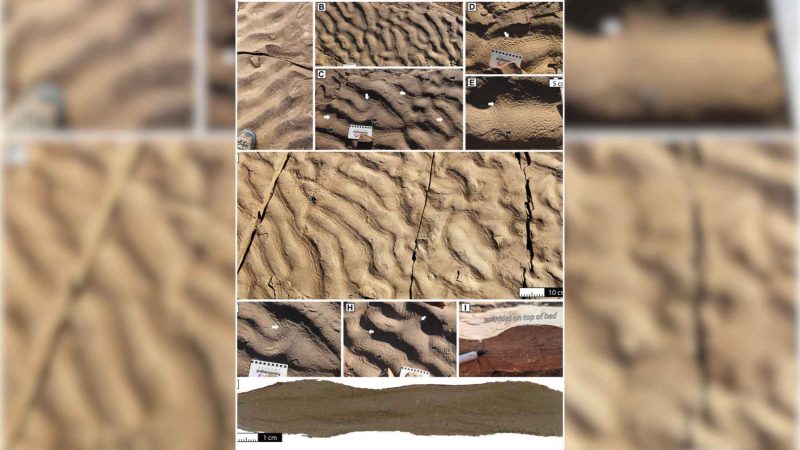 180-Million-Year-Old Rock Wrinkles Baffle Geologists