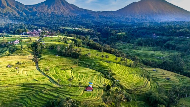 5 Forces Reshaping Bali Tourism Under Its New Legal Framework