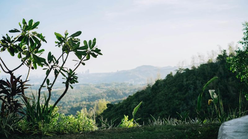 5 Reasons WorldHotels Backdrop Is Reshaping US Glamping
