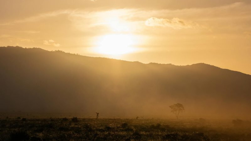 7 African Nations Quietly Dismantling Borders: The Visa-Free Revolution
