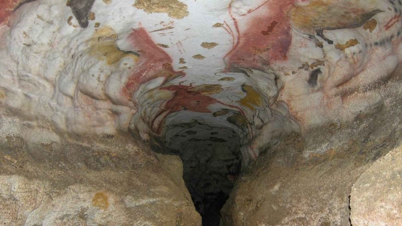 A Dog Named Robot Led a Teen to 17,000-Year-Old Art