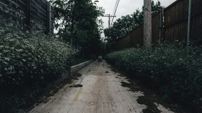 Alabama Had a Capital Before Montgomery — It’s Now a Ghost Town Drowning in Wildflowers