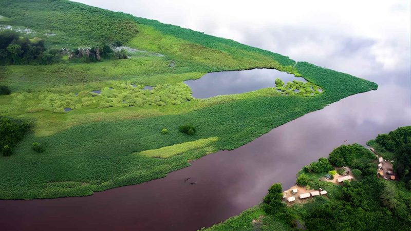 Congo’s Ancient Peatlands Are Starting to Exhale Their Stored Carbon