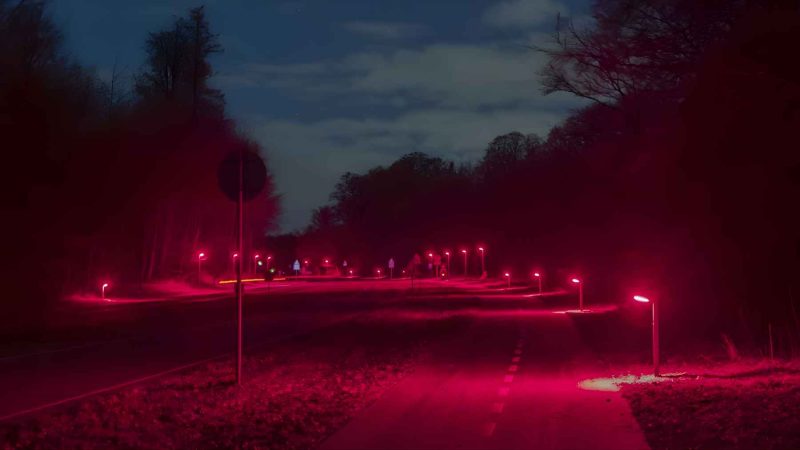 Denmark’s Red Streetlights Spark a Fight Over Bats vs Safety