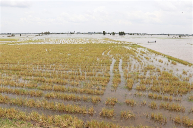 Dong Thap’s Green Revolution Takes Center Stage at VITM 2026