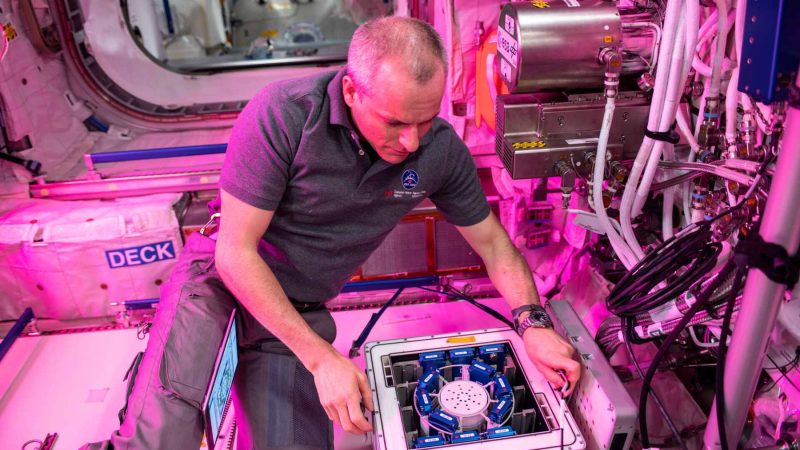 Fungus in Space: NASA’s Orbit Experiment Mines Metal from Rocks