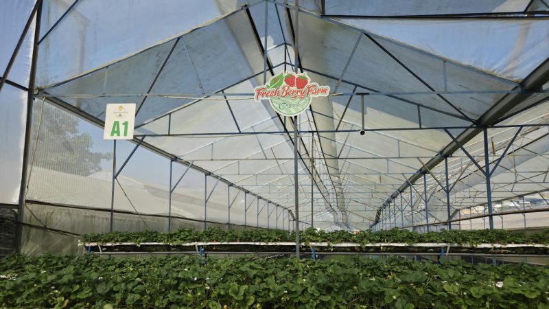 Inside Nagpakabana Farm: The Philippines’ Agritourism Revolution
