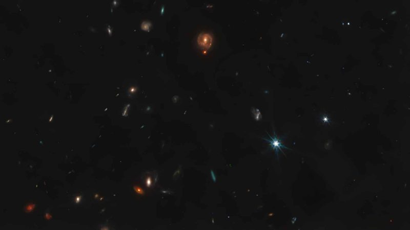 JWST’s ‘Little Red Dots’ Aren’t Galaxies. They’re Infant Black Holes on a Feeding Frenzy
