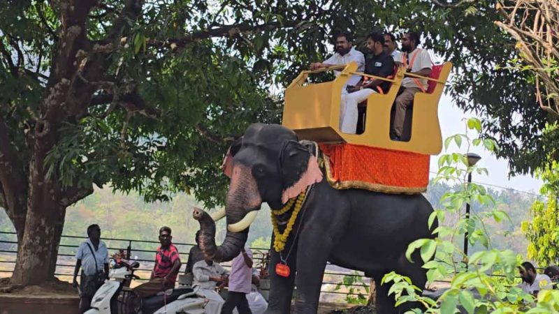 Kerala’s Mechanical Elephant Safari Wins PETA India’s Golden Award