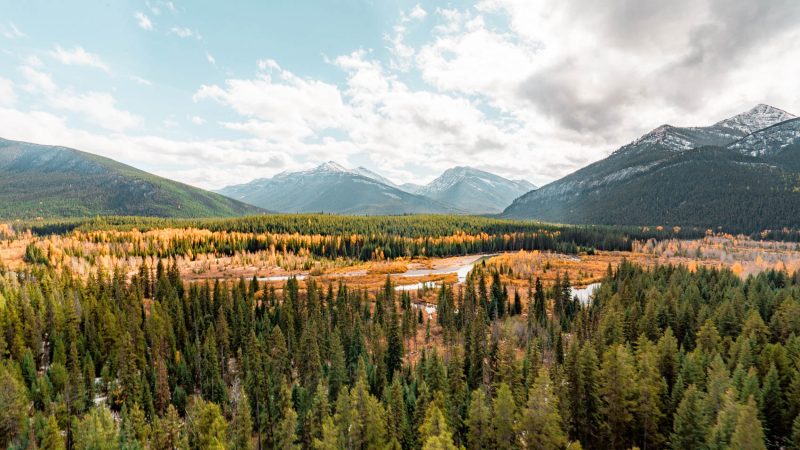 Montana Has a Town You Can Live In for Free — and Another Just Sold for $2.25 Million