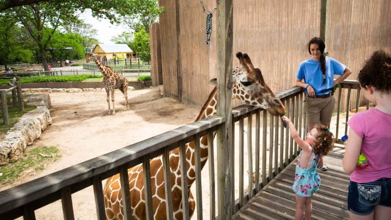 Sedgwick County Zoo’s $46M Savanna Bet Includes a Hotel