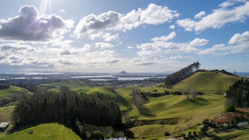 Beverley Earns NZ$1,076.84 a Fortnight from NZ Super in 2026 — Here’s How She Actually Lives on It in Tauranga