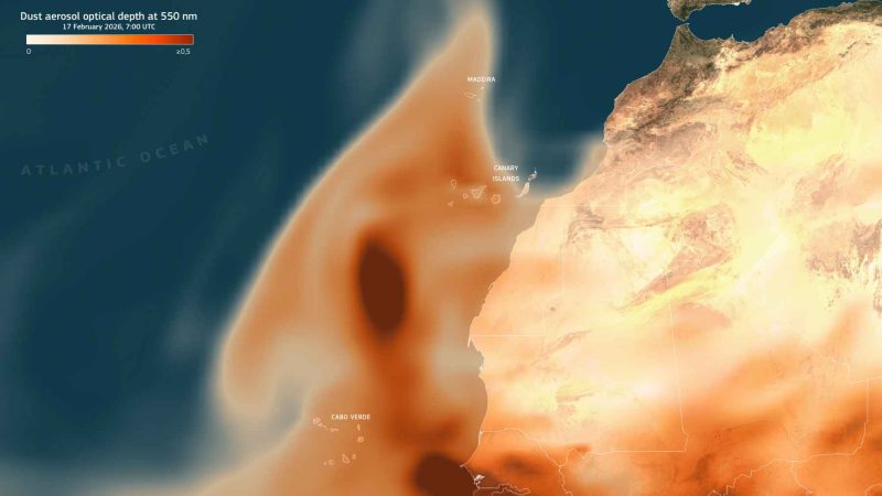 The Atlantic’s Brown Ribbon Grows: 5 Alarming Facts About the Sargassum Belt