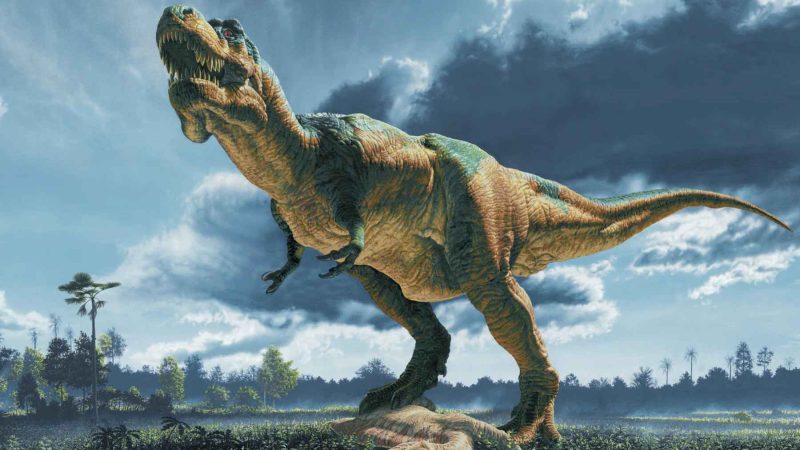 The T. Rex Was Faster Than We Thought, and Sue Proves It