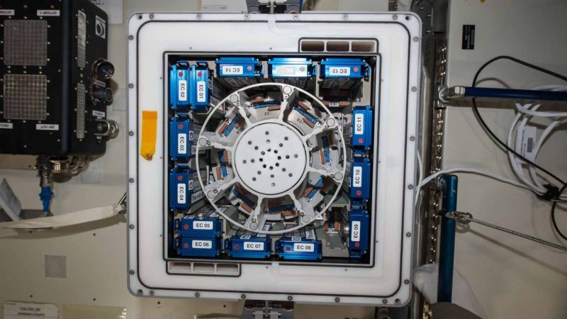 The Tupperware-Sized Box That Could Revolutionize Space Mining