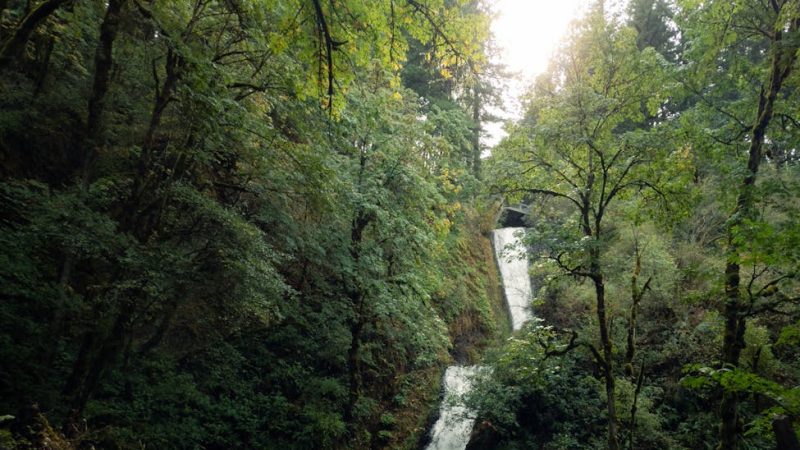 Oregon’s Secret Waterfalls: 7 Hidden Cascades Most Tourists Never Find